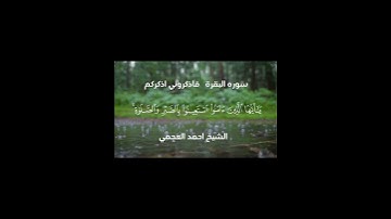 سورة البقرة  الشيخ احمد العجمي #fypage #fypシ #islam #القرآن_الكريم_راحة_نفسية #viral #foryou #qura #