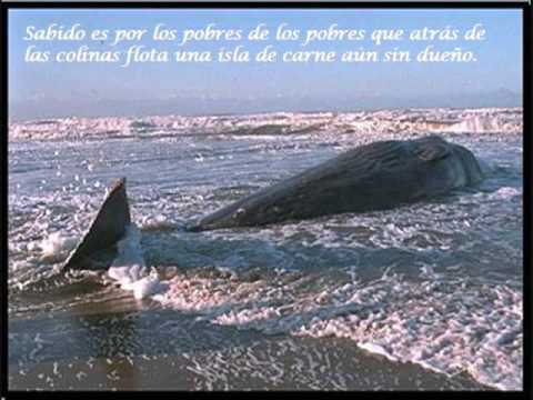 "Entonces, en las aguas de Conchn" de Antonio Cisn...