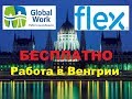 Работа в Венгрии с получением ВНЖ! Завод Flex лучший выбор для жизни и работы в Европе!