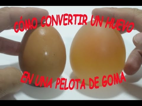 Cómo hacer Pelotas Saltarinas SIN borax en polvo! #VeranoFloriloko //  Floritere 