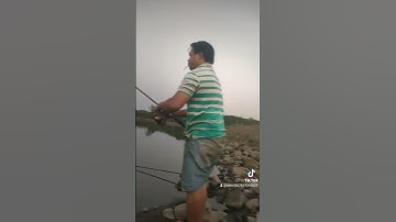 câu cá thác lác tại đạp an khương