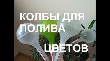 Автополив растений/Колбы для автоматического полива растений