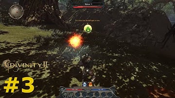 Hjamalar be gone | Divinity 2 Developers Cut [#3] | Nightmare difficulty