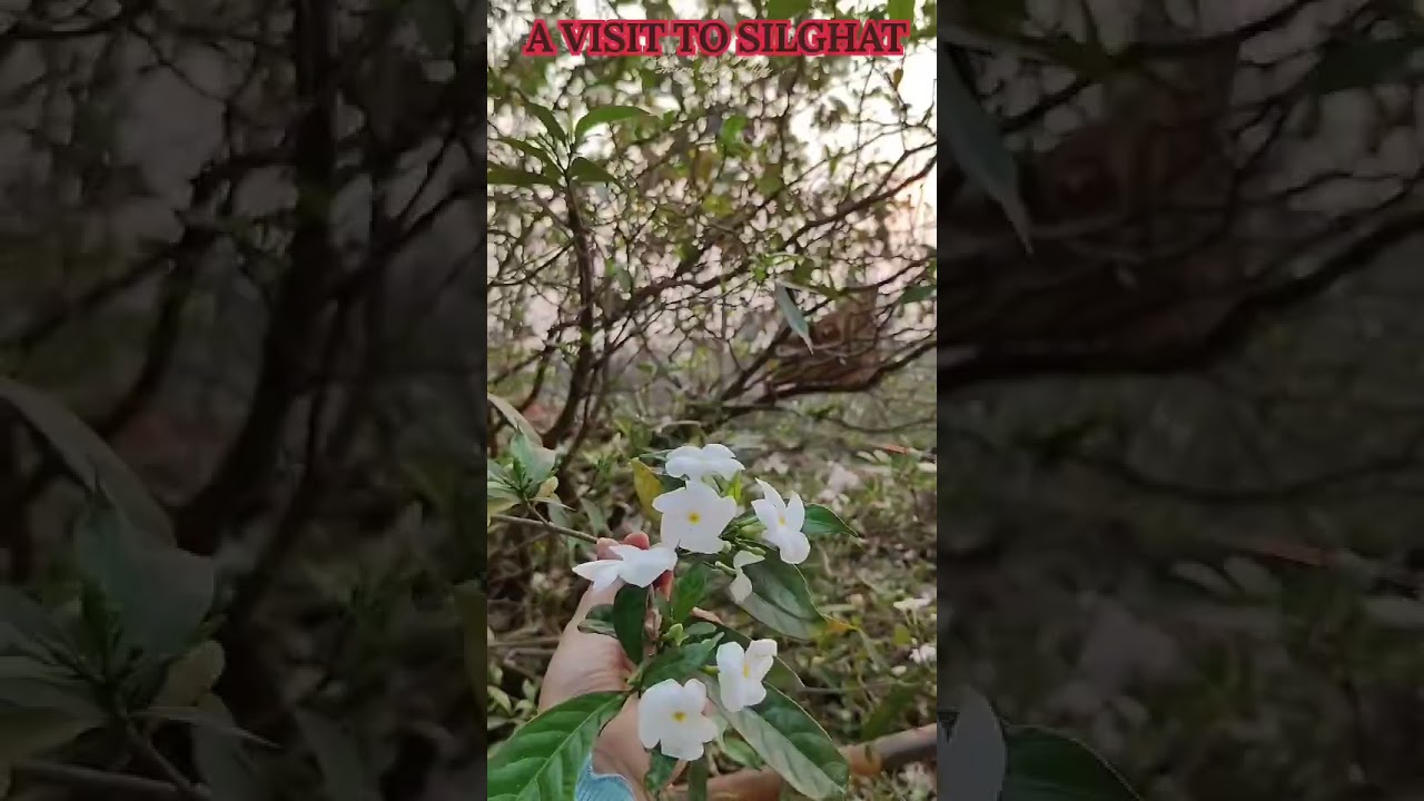 #travel #nature #fresh