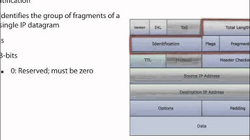 Total Length, ID, Flags, and Fragment Offset