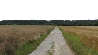 Video voorbeeld van "Ein Bett im Kornfeld-Musik Video"