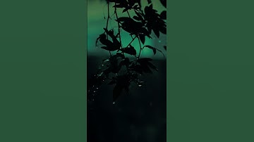تلاوة جميلة لما تيسر من سورة النحل .. بصوت الشيخ ماهر المعيقلي#القرآن #سورة_النحل #❤️
