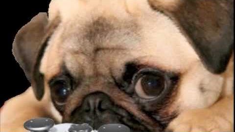 An Example of a MW2 Montage Introduction