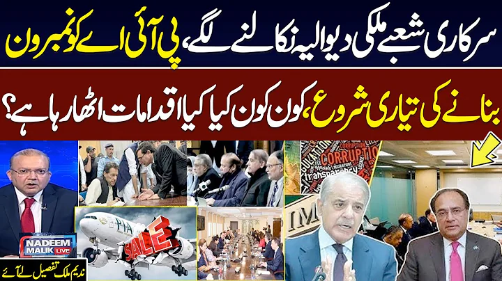 Privatisation | Govt Efforts | Senior Journalist Nadeem Malik Great Analysis on Current Scenario