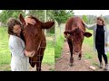 Woman Has Heartwarming Relationship With Huge Bull