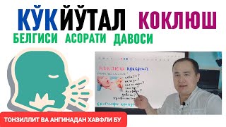 Кўкйўтал Коклюш Тарқалиши, Сабаби, Белгиси, Асорати, Ташхис Ва Даво Чоралари Ҳақида Маълумот