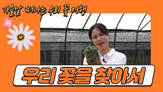 [알쓸국생] 가을! 우리 꽃을 찾아서!