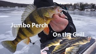 Walleye Ice Fishing & Jumbo Yellow Perch Catch n Cook