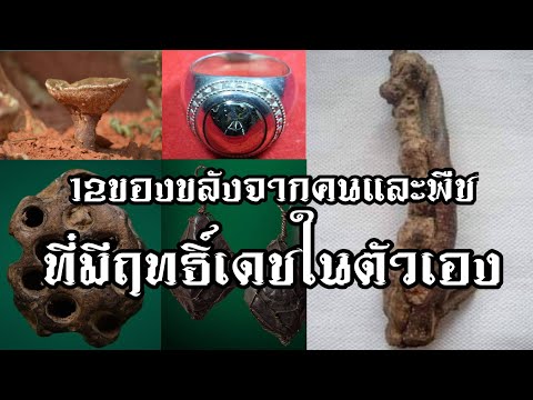 12ของขลังจากคนและพืชที่มีฤทธิ์ในตัวเอง