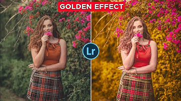 Lightroom Photo Editing Background Color Change | Golden Effect | Lightroom Golden Editing