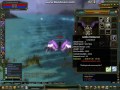knight online 24 saat exp flash,war flash kasmak