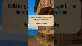 Reşat Nuri Güntekinin Dediği Gibi, Belki Bir Gün Kalbimi Yormayan Birine Denk Gelirim Diye Yaşıyorum Resimi