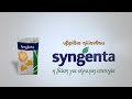 Syngenta TVC ΗΛΙΑΝΘΟΣ 2022