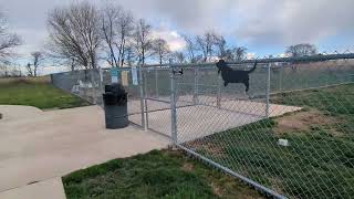 little creek dog 🐕‍🦺 park (bark park) #delaware #parks  #usa #march2024