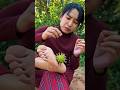 Survival Skills: SMART idea and USEFUL Magical chaklet #bushcraft #campping#outdoors #useful #idea