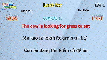 🌟IELTS Vocabulary Secrets #E1 175🍀Boost Your Score with These 5 Tips Learn English with QH Languag