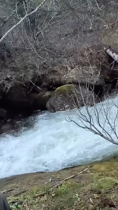 The DUMBEST thing I could’ve done spring Bear hunting… part 1 #hunting #river #outdoors #mountains