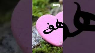 اغنيه باسم رهف #ألف_مشترك #اشتراك_بالقناة #الف #كومنتات #لايك #اشتراك #لايك_اشتراك #لايك_للفيديو