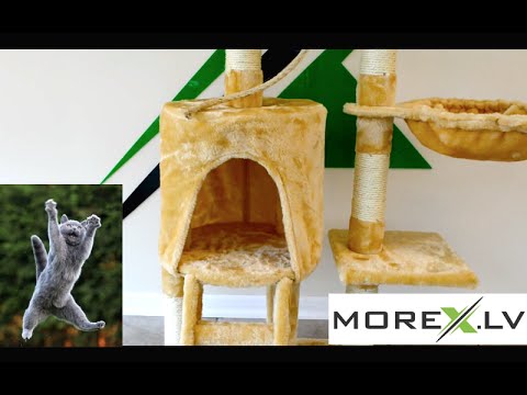Video: Kā Uzcelt Kaķu Māju