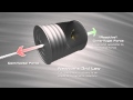 Centripetal vs Centrifugal