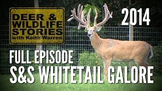 S&S Whitetail Galore - The Sage of Deer Farming