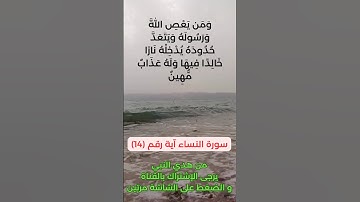 سورة النساء آية رقم (14) #سعد_الغامدي