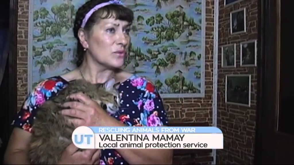 Rescuing Animals from Ukraine War: Hundreds of pets abandoned by owners cared for at centre