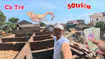 Bỏ 50 Triệu Vào Móng Nhà Để Nuôi Cá Thì Thiệt Quá Và Đi Câu Gặp...Trê Bạch