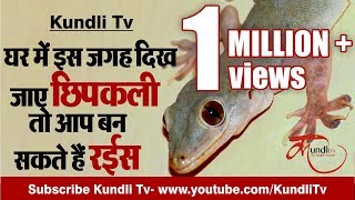 घर में इस जगह दिख जाए छिपकली तो आप बन सकते हैं रईस | Lizard at home is good or bad | 25 June