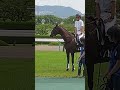 先輩を待つ新人 #ハギノエスペラント 🐴🔰 #誘導馬 #阪神競馬場