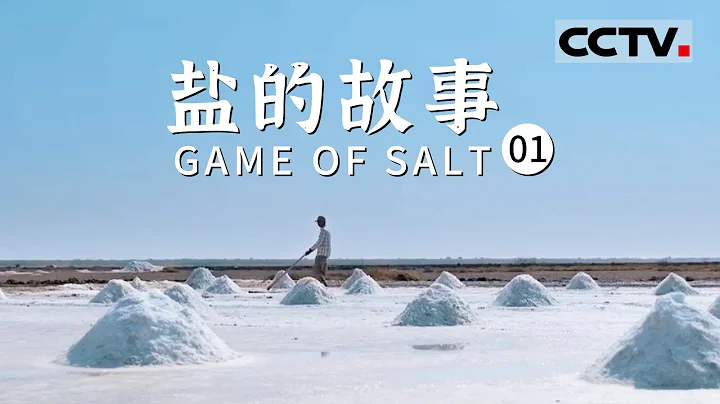 《盐的故事》每天吃的盐竟有这么多故事？用一粒盐观世界变迁史！EP01【CCTV纪录】 - 天天要闻