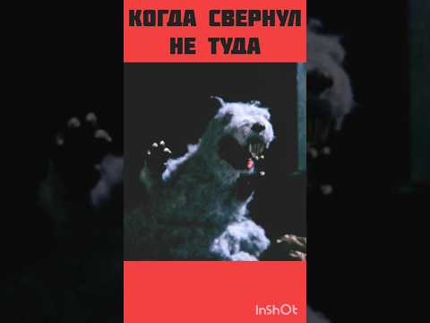 Кот Сэйлем в Нью-Йорке #сериал #сэйлем #кот #Сабрина #смешное #юмор