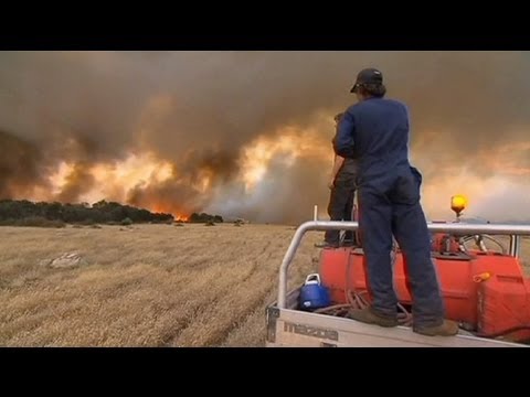 Avustralya'da orman yangını