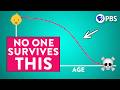 Understanding Predictive Analytics and Mortality