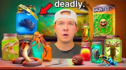 Don’t Buy Live Fish Off The Dark Web…
