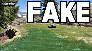 LAWN PAINT: Unexpected Results