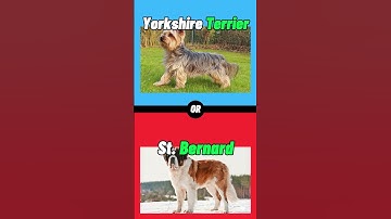 Would You Rather Hardest Choices Ever? Part 44 #wouldyourather #quiztime #quizzes #quizgames #short