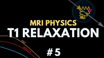 T1 Relaxation, Spin-lattice Relaxation, Longitudinal Recovery | MRI Physics Course #5