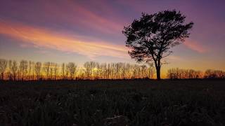Motion Timelapse  | Test | DJI Osmo Pocket