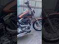 Dyna Super Glide Caballo #motorcycle #harley #harleydavidson #viral #hd #bike #bikelife #ironhorse
