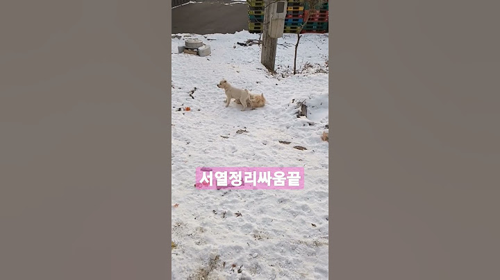 서열싸움 끝