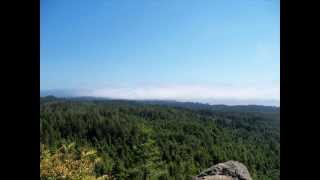 Increase The Peace In Humboldt