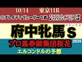 エルコンドル氏の府中牝馬ステークス2024予想！！東京の直線コースは馬の地力問われる！ブレイディヴェーグとマスクトディーヴァどちらか！それとも？