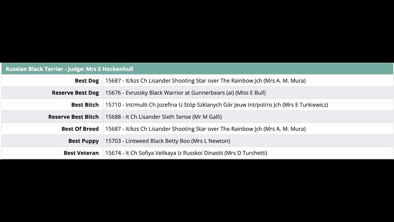 Russian Black Terrier Crufts 2025