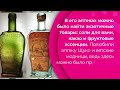 650 фактов о Кирове: Антон Щуко